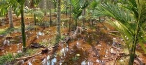 ಅಸಾಂಪ್ರದಾಯಿಕ ಪದ್ಧತಿಯಾದ ನೀರು ಕಟ್ಟುವುದು