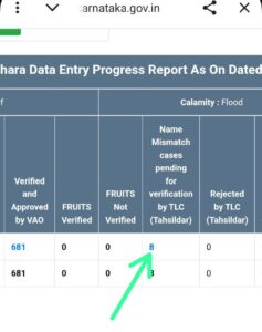 Name Mismatch Details